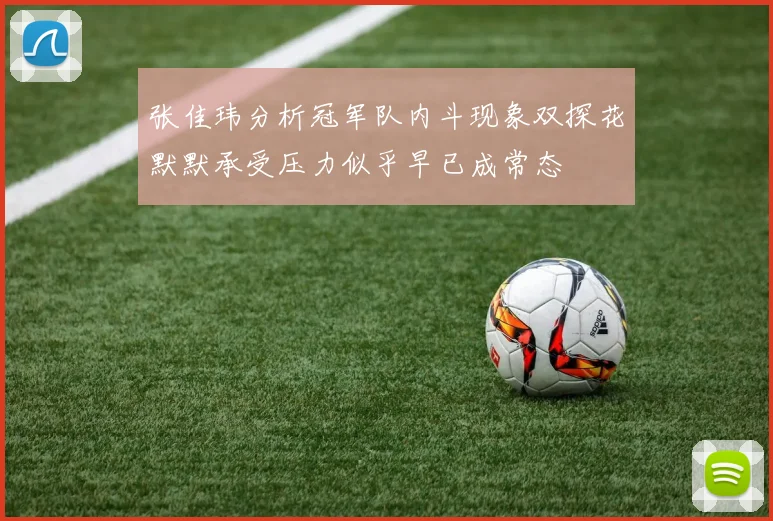 张佳玮分析冠军队内斗现象双探花默默承受压力似乎早已成常态
