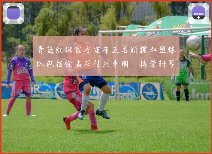 青岛红狮官方宣布五名新援加盟球队包括徐嘉石付杰李明璠梅景轩等球员